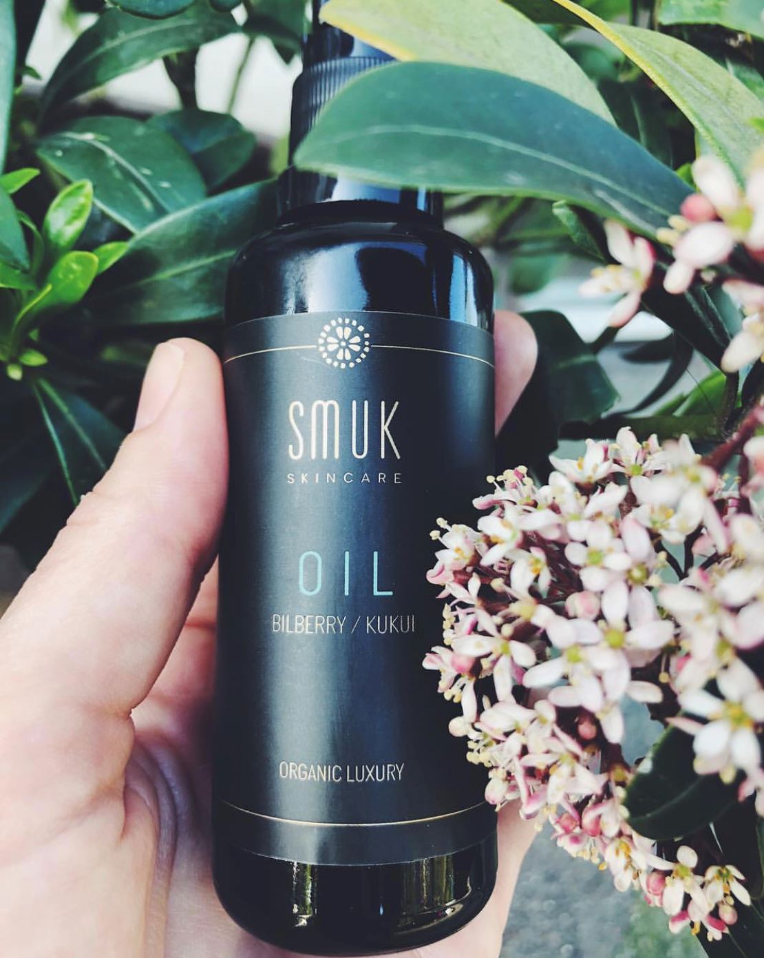 Hånd holder sort flaske med SMUK skincare økologisk ansigtsolie